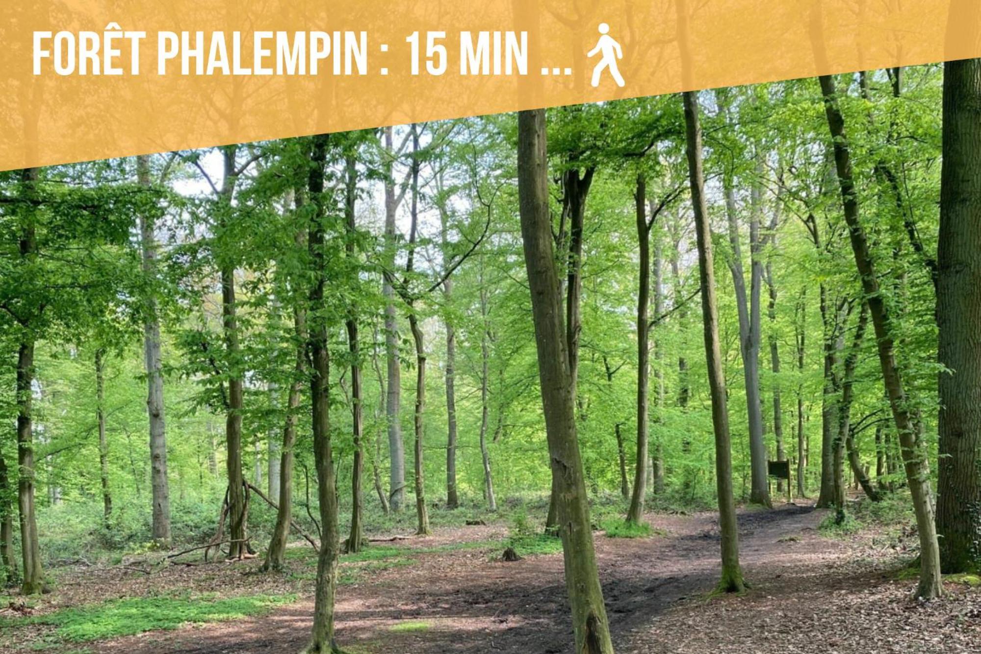 Gite Le Duplex - 5Min De La Gare Vers Lille-Lens-Arras Phalempin Екстериор снимка